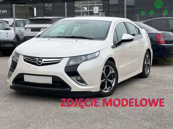 Brandstofpomp OEM 13583977 voor Opel Ampera/Chevrolet Volt image 8