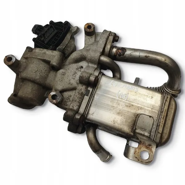 Refroidisseur d'échappement OEM E1010010140 pour Maxus V80 2.5D image 2