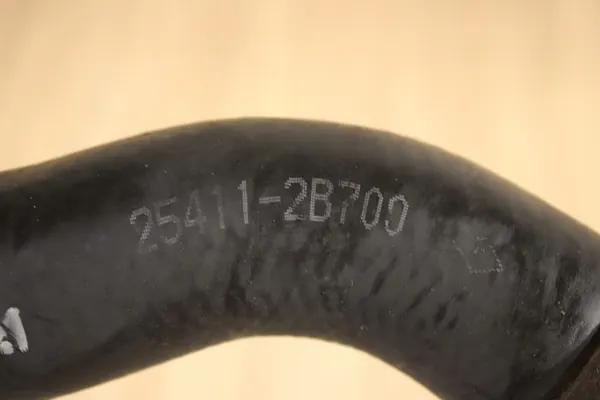 Vesiletkua Hyundai Santa Fe II 2.2 CRDI image 2