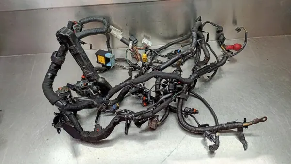 Cableado Motor OEM 55NA10400 para Nissan Qashqai J10 image 2