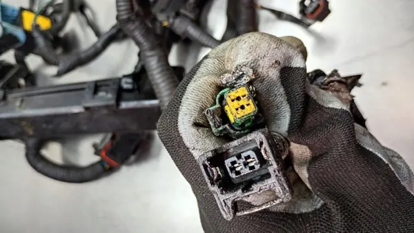 Cableado Motor OEM 55NA10400 para Nissan Qashqai J10 image 8