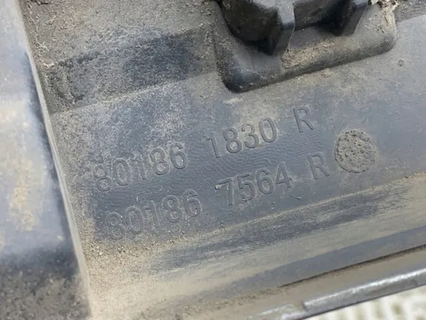 OEM 801861830R Höger Fram Dörrlist för Renault Megane III image 4