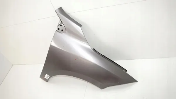 OEM 360167671 Etu-oikea lokasuoja Renault Megane III image 3