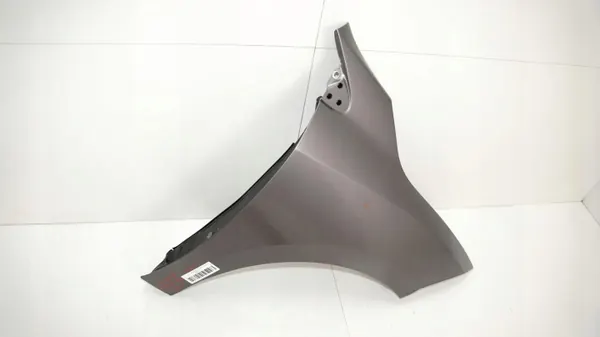 OEM 360167671 Etu-oikea lokasuoja Renault Megane III image 4