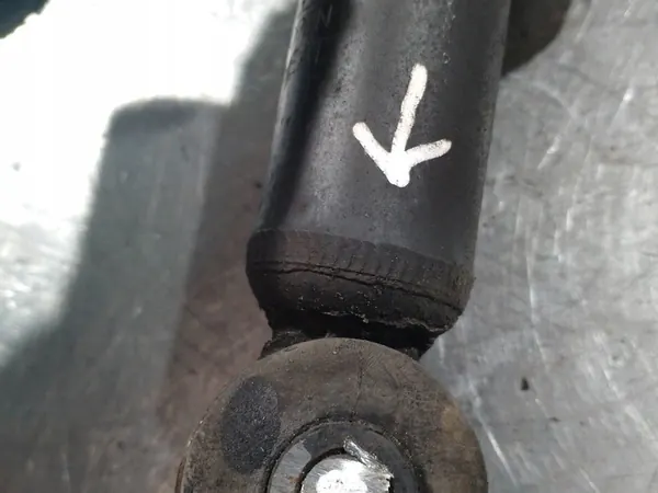 Ammortizzatore Posteriore Mitsubishi Lancer VIII 4162A207 image 2