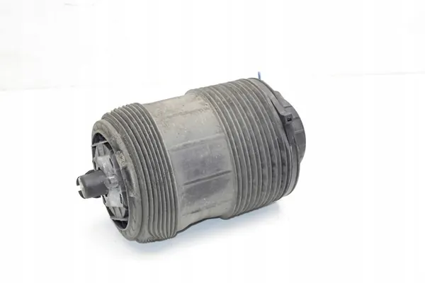 Airbag de Suspensão Traseira Direita AUDI Q7 (4M) 2019 4M0616002AK image 1