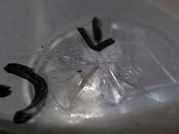 Farol Halógeno Esquerdo Scania, 1493381 image 8