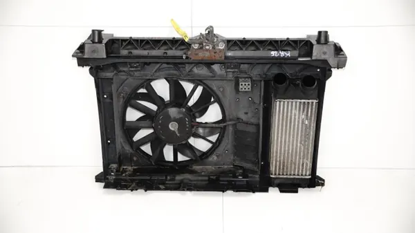 Correa Delantera OEM 368446285 para Citroen Berlingo III image 2