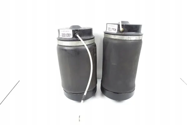 Bolsa Airmatic Mercedes W251 Trasera Izquierda/Derecha OEM image 2