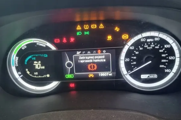 Vänster Bakdörrsgångjärn KIA NIRO SORENTO IV IONIQ 79410-D8000 image 3