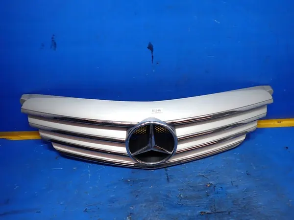 MERCEDES B W245 Grill Chrom Przód A1698800783 image 2