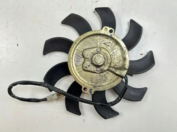 Ligier Tuuletinlapio OEM 118425 JS 50:lle image 4