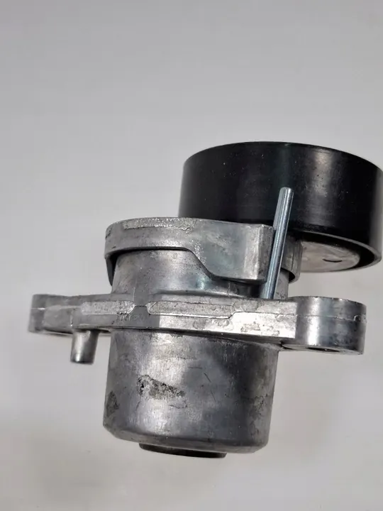 Gates K016PK1005EST Conjunto de correias image 3