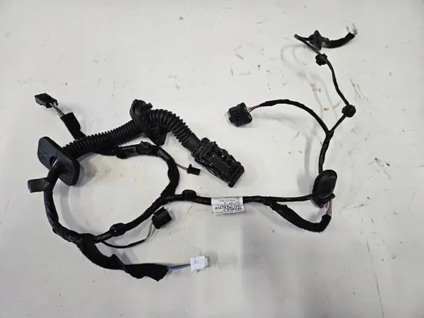 Harness Puerta Delantera Izquierda OEM 241250531R image 2