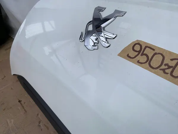 DUCATO BOXER JUMPER LIFT 14 Motorhuv 249 image 8