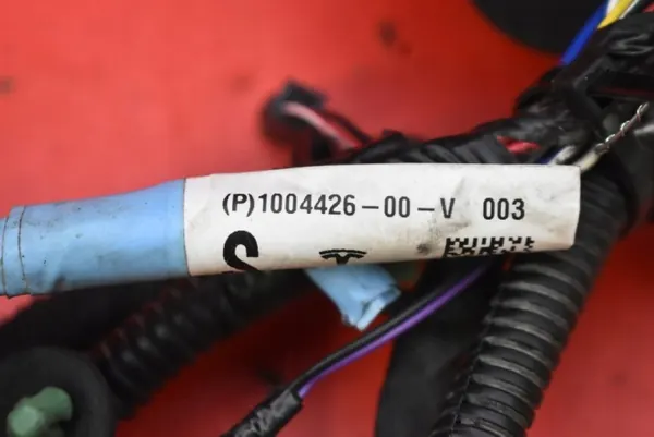 Dörrkabel Höger Bak OEM 1004426-00-V Tesla image 4