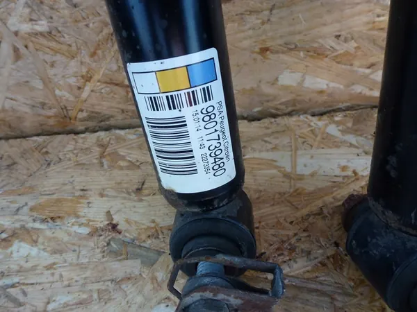 Ammortizzatori Posteriori Citroen C3 II Set Sinistro Destro image 2