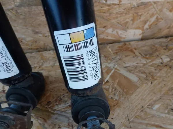 Ammortizzatori Posteriori Citroen C3 II Set Sinistro Destro image 3