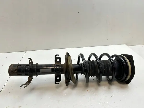 Ammortizzatore anteriore Renault Kangoo II 2015 543020572R image 2