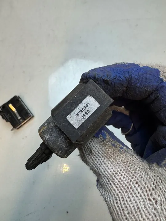 Avgasspjäll Chevrolet Blazer S10 15706341 image 2