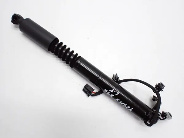 Amortisseur de porte télescopique OEM 1063441-00-F Tesla Model X image 2