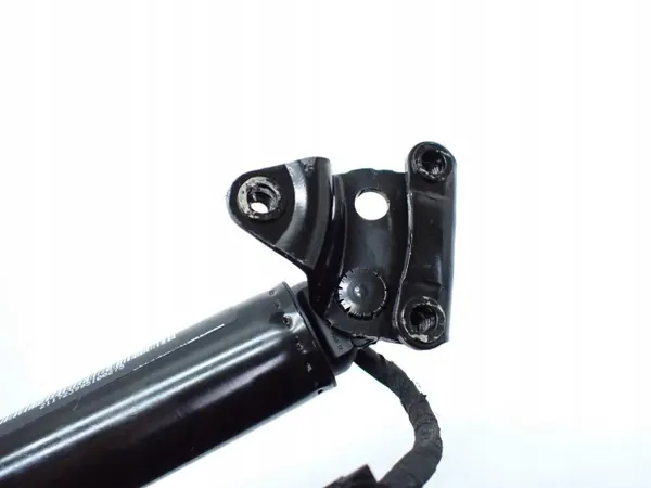 Amortisseur de porte télescopique OEM 1063441-00-F Tesla Model X image 4
