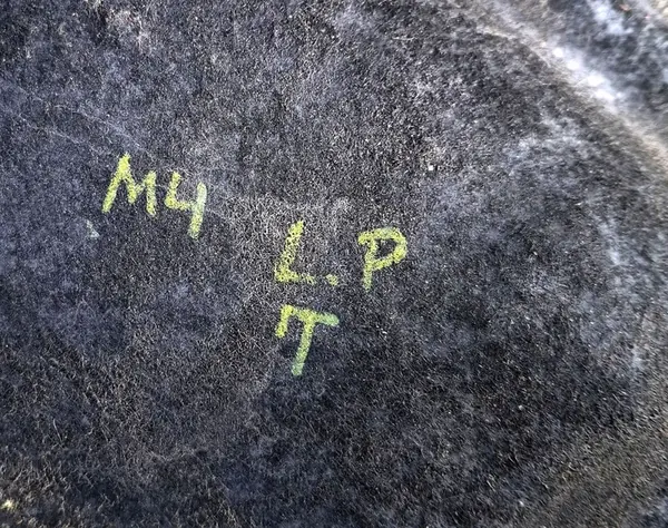 MEGANE IV Front Left Wheel Arch OEM 638437329R image 4