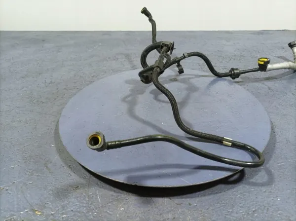 Öljyn hengitysletku Renault OE OEM 311797/Lochow image 4