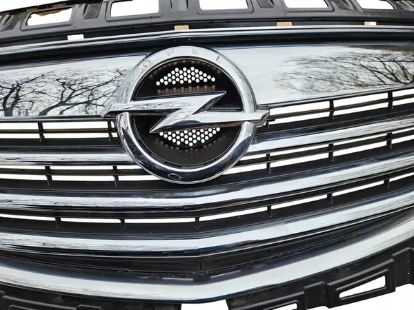 Grade Frontal Cromada Opel Insignia 08-13 OEM 13238420 image 3