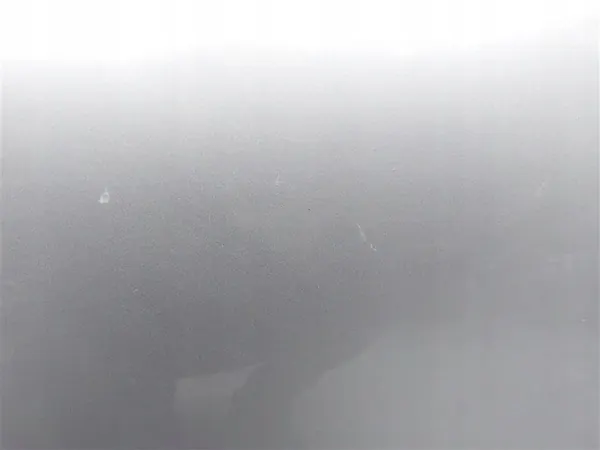 Vänster bakdörr Citroen C3 I 2002-2009 Silver image 5