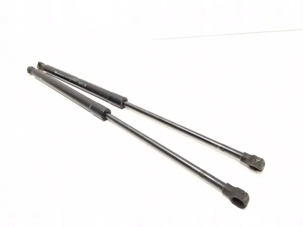 Ammortizzatore del portellone posteriore Renault Megane IV 2018 OEM image 2