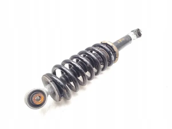 Amortiguador OEM 9842404480 Eje Trasero con Muelle image 3