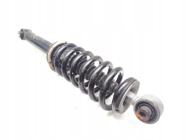 Amortiguador OEM 9842404480 Eje Trasero con Muelle image 4
