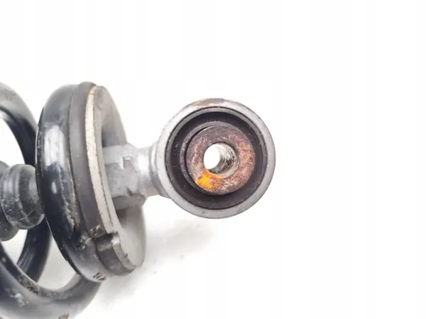 Amortiguador OEM 9842404480 Eje Trasero con Muelle image 5