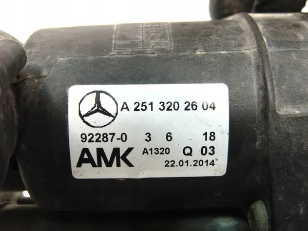 Suspension Compressor + Distributor A2513202604 Mercedes R-Class image 6
