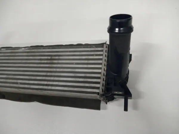 Intercooler OEM A4705010700 pour Mercedes X470 W470 image 4