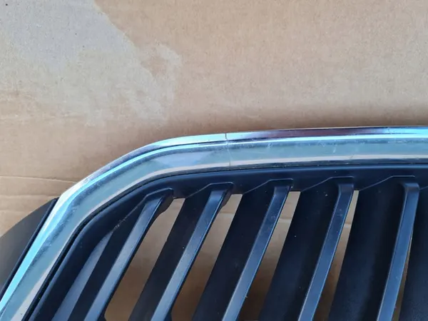 Griglia anteriore SKODA RAPID 5JA853668 image 2