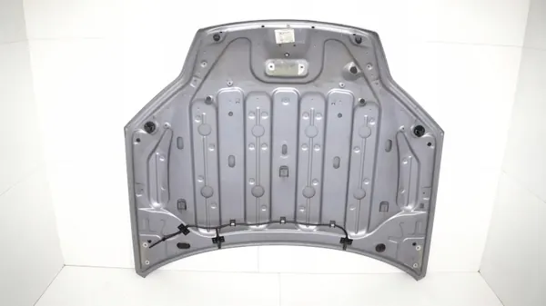 Capot Moteur OEM 360151313 pour Renault Laguna III image 9