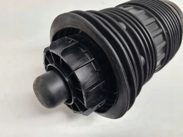 Porsche Panamera 970 Molla Posteriore 97033353335 image 5