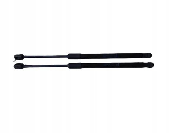OEM 39150008 Verins de Capot Avant pour Opel Insignia B image 2
