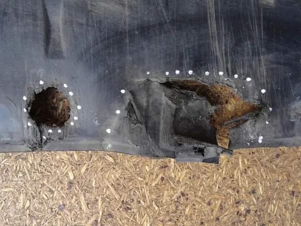 A3 8P GOLF V OCTAVIA II Motorplåt 1K0825237N image 5