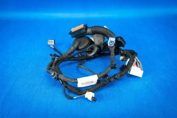 Faisceau électrique porte Audi A8 4N OEM 4N0971029BT image 2