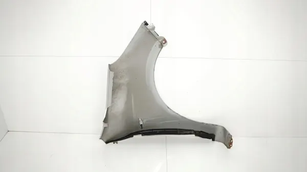 Para-lamas dianteiro esquerdo OEM 375485390 Hyundai i20 08-12 image 9