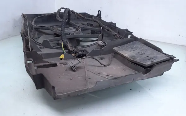 Courroie avant OEM 1831237016 pour Citroën Xsara Picasso image 4