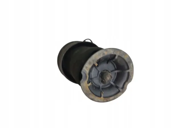 Muelle de aire izquierdo trasero OEM para Citroen C4 Picasso I image 3