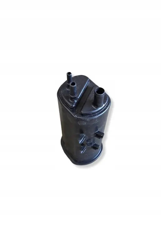 OEM H149502109R hiilifilteri Renault Clio V:lle image 3