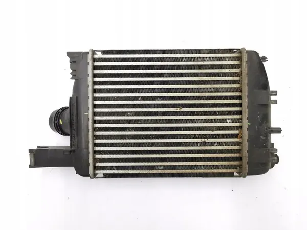 Intercooler OEM 144965154R pour Renault Dacia image 7