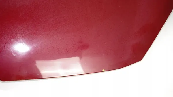 Tapa Motor Ford Fiesta MK7 OEM 375484563 Magenta image 6