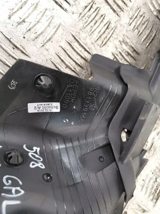 Peugeot 508 Hecktür Fensterdichtung OEM FBZ8800 image 4