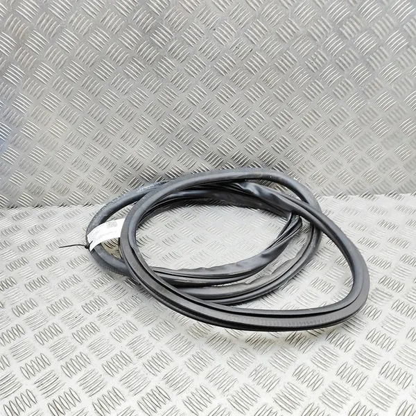 Rear Right Door Seal Cadillac Escalade 84507989 image 2